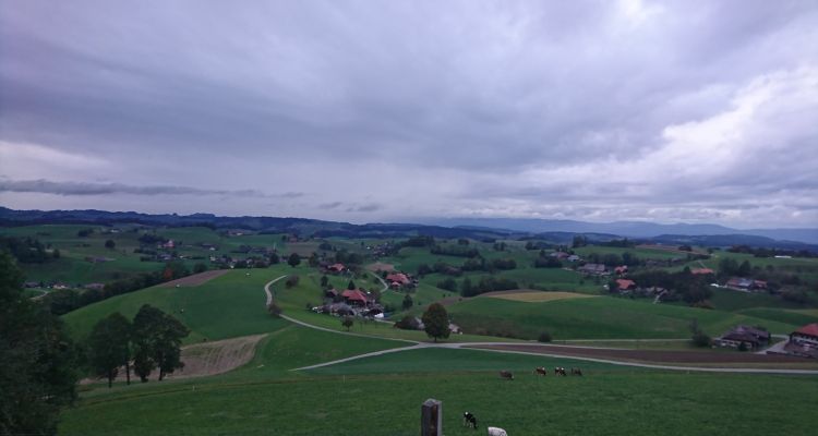 Fürobetürli - News - Maschinenbau