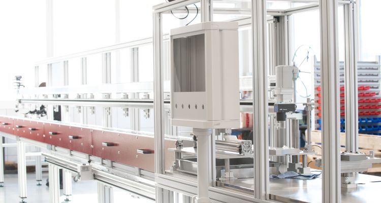 View of the whole plant